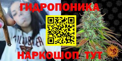 спиды Гусев