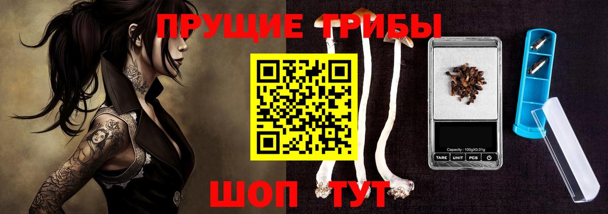 Новоалтайск  Галлюциногенные грибы ЛСД  Вход с VPN 