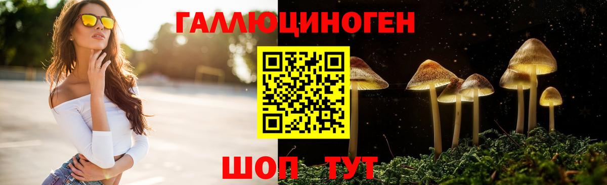 Псилоцибиновые грибы ЛСД Новоалтайск